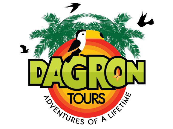 Logo Dagron Tours